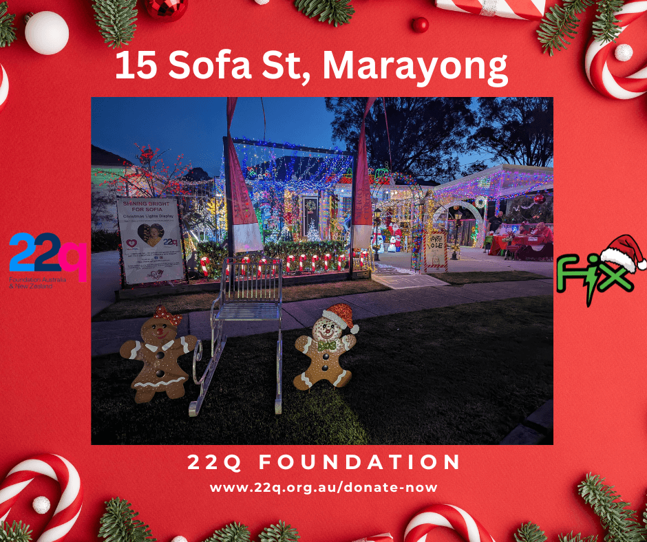 Christmas Light Competition 4