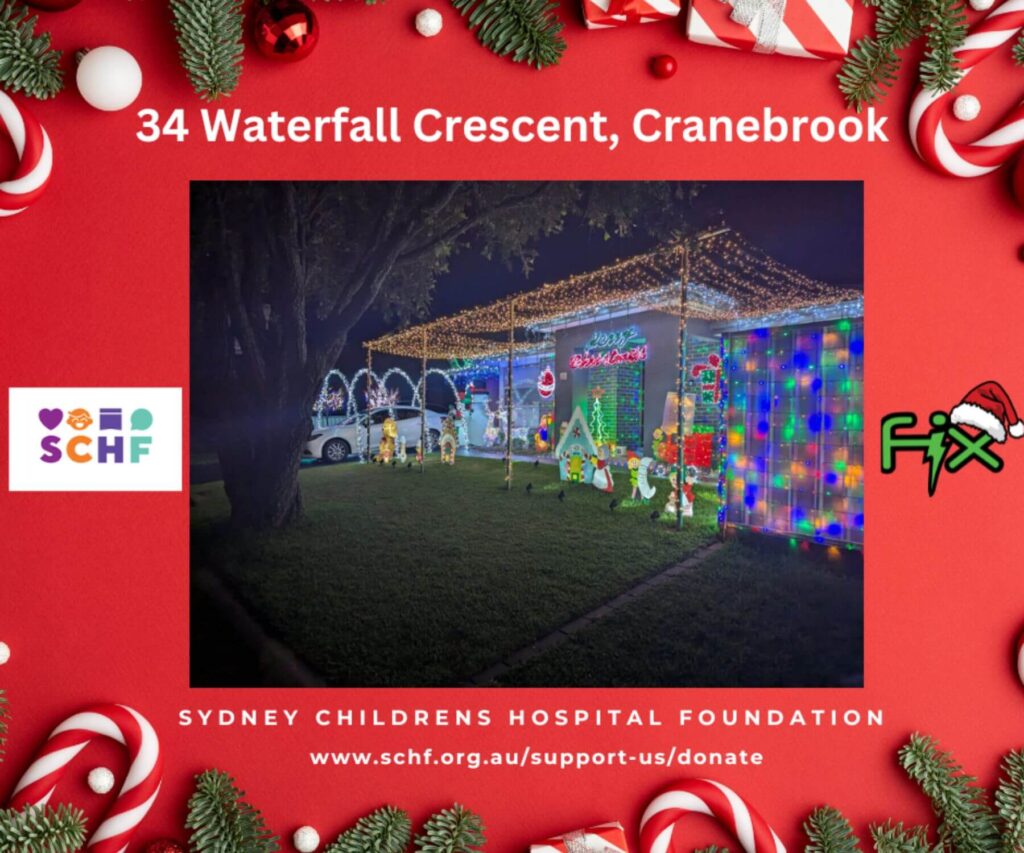 Christmas Light Competition 9